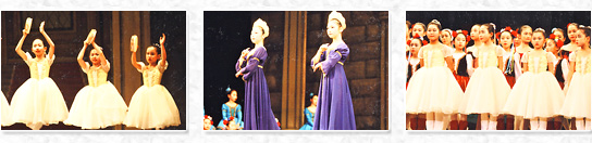 ���\��̗l�q